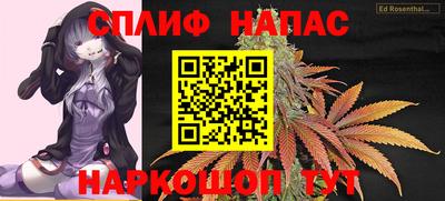 индика Лесосибирск