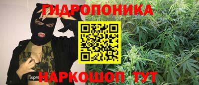 мяу мяу мука Ливны