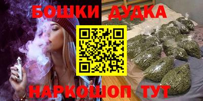 индика Лесосибирск