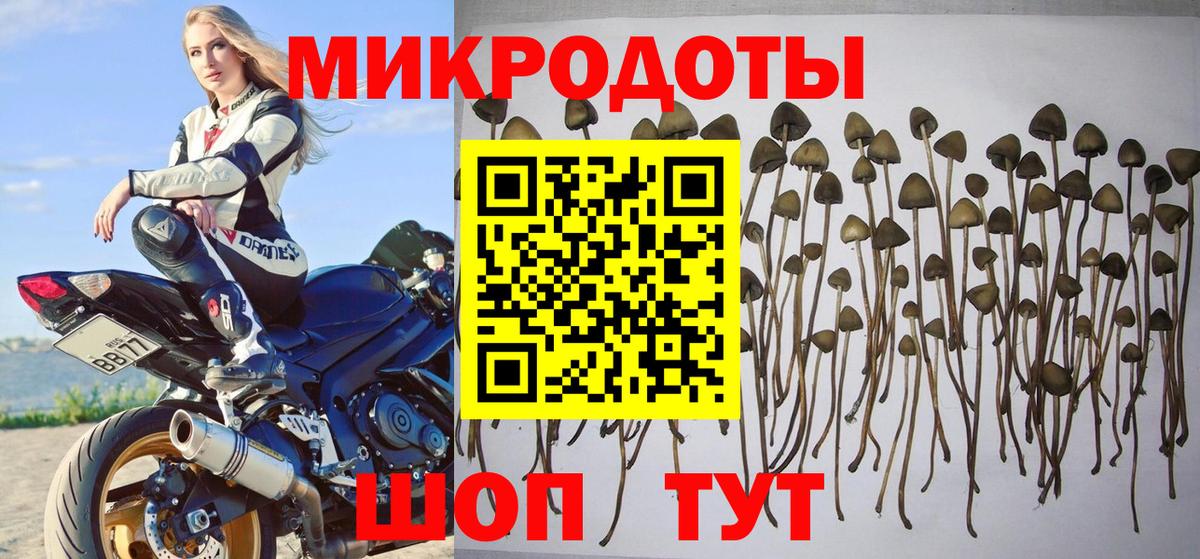 Псилоцибиновые грибы MAGIC MUSHROOMS  Вход с VPN  Энгельс 