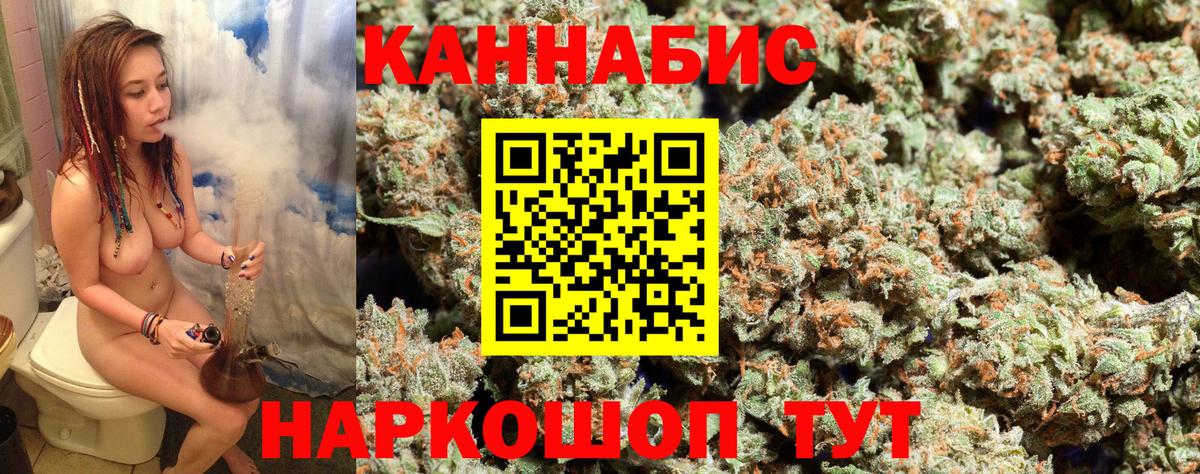 Марихуана OG Kush Энгельс
